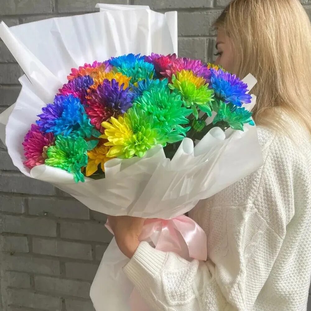 Happy Colors Rainbow Zembla Chrysanthemum R1112 Chrysanthemum, Happy colors, Col