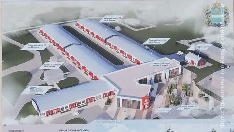Терновка белгородская область ковидный