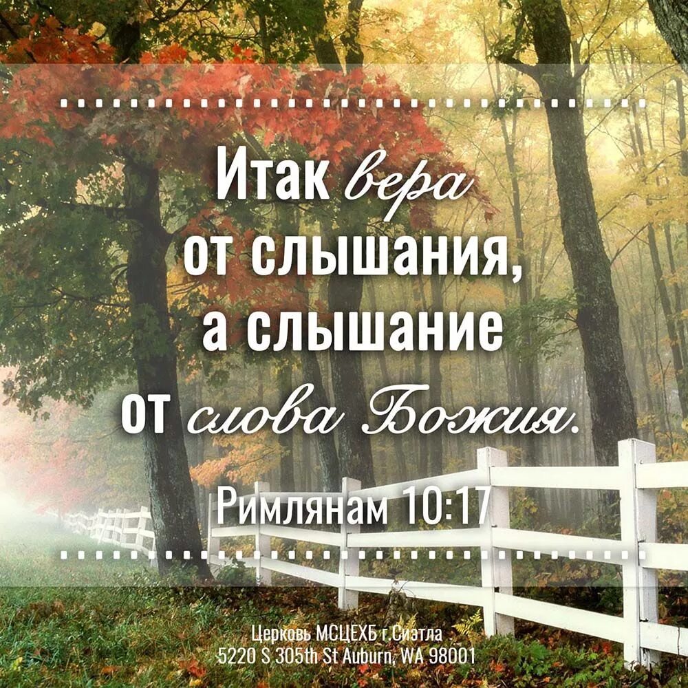 Стих дня из библии. Стихи из библии. христианские стихи из библии. золотые стихи библии. золотые стихи из библии.