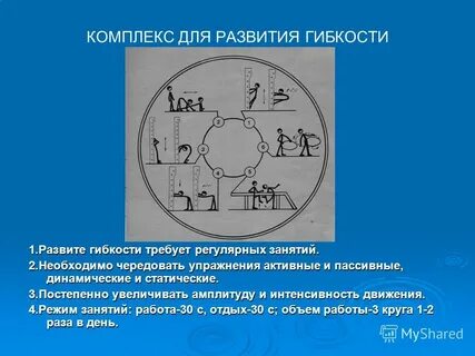 Благоприятный период для развития активной гибкости