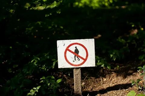В лесу не ездят