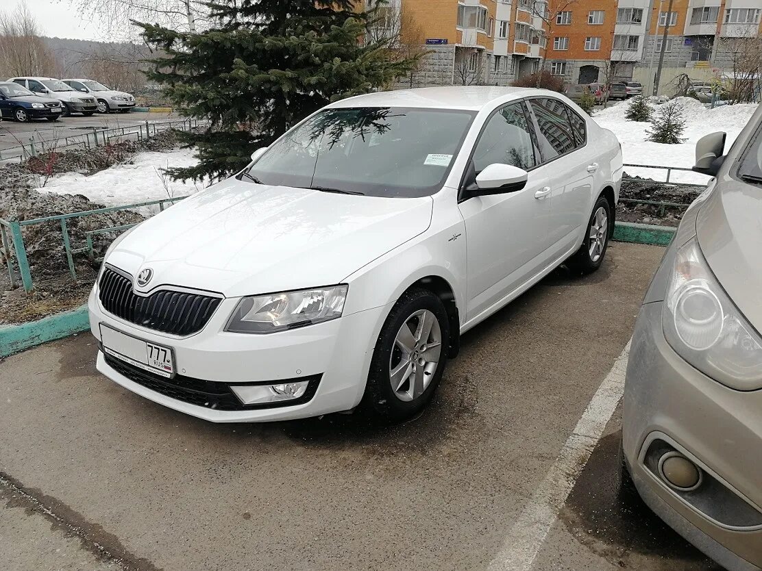 Skoda octavia кузов