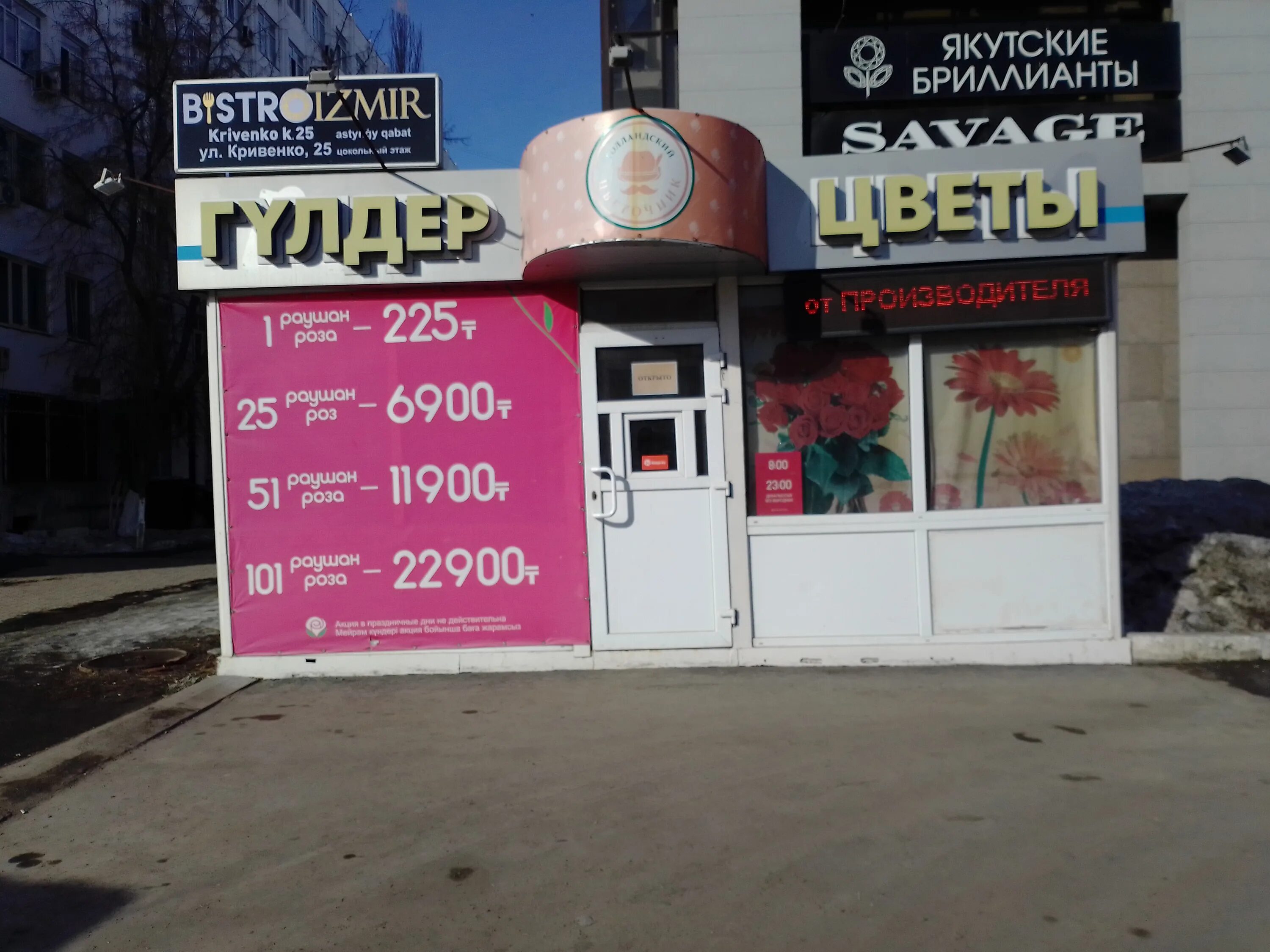 многолетники вместо петуньи. цветы павлодар. павлодар усольский микрорайон. фаленопсис биг лип шоколад. павлодар доставка цветов.