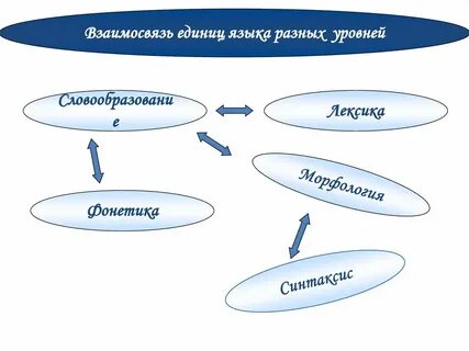 Языковая система это совокупность