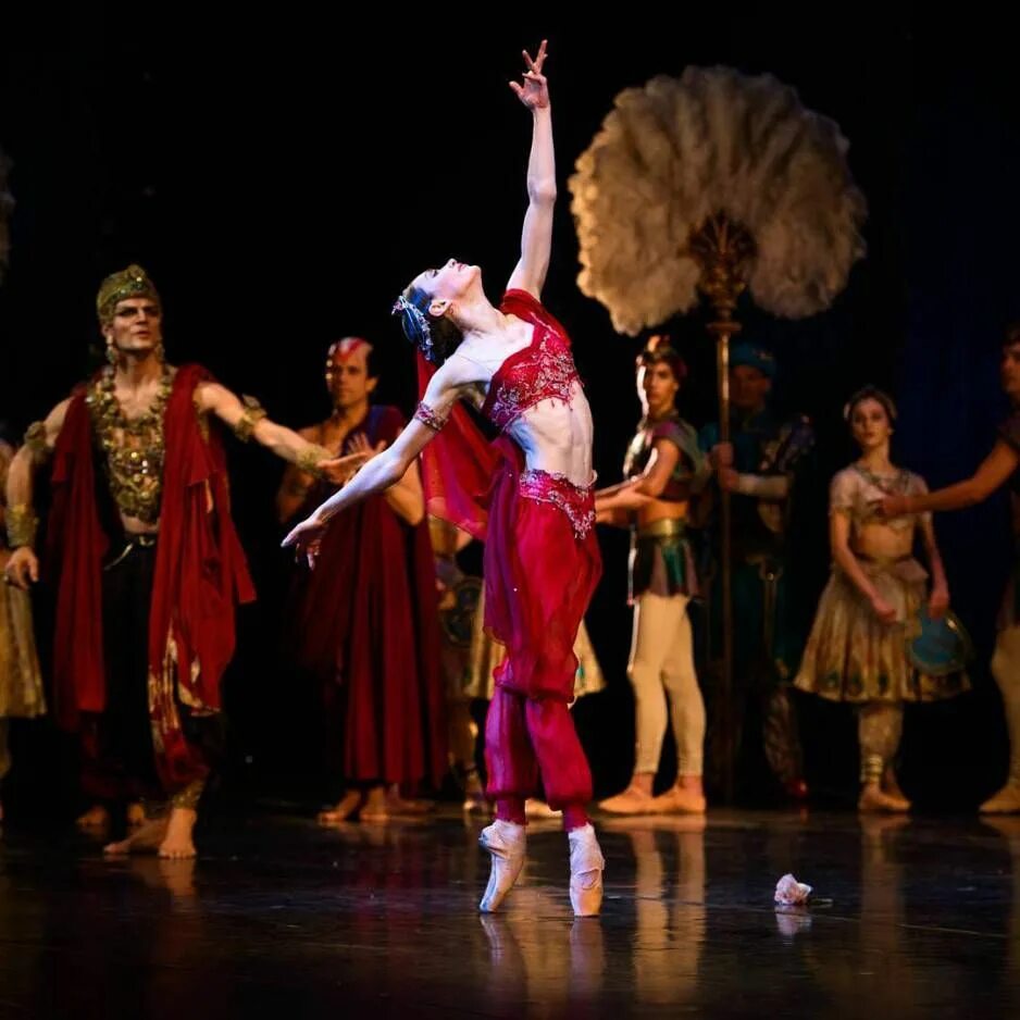 Hayat mix robin. Why dance. Современные танцы. Senior dance companies. Why dance.