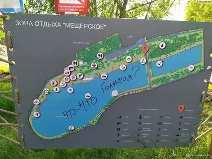 Как добраться до мещерского парка