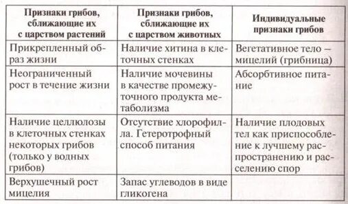 Определите признаки грибов. Таблица признаки грибов. Признаки грибов сближающие их с растениями и животными. Общие признаки грибов с растениями и животными таблица. Характерные особенности царства грибов.