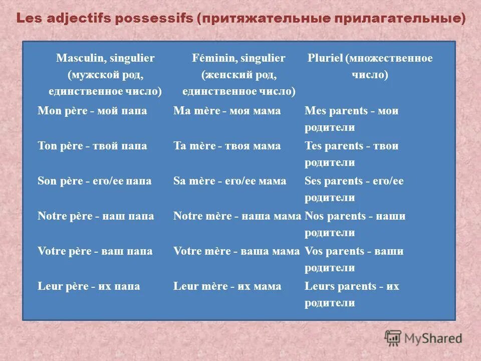 Имена существительные во множественном числе склоняются по падежам. Граждане единственное число. Личные местоимения в немецком. Граждане единственное число. Местоимения третьего лица единственного числа.