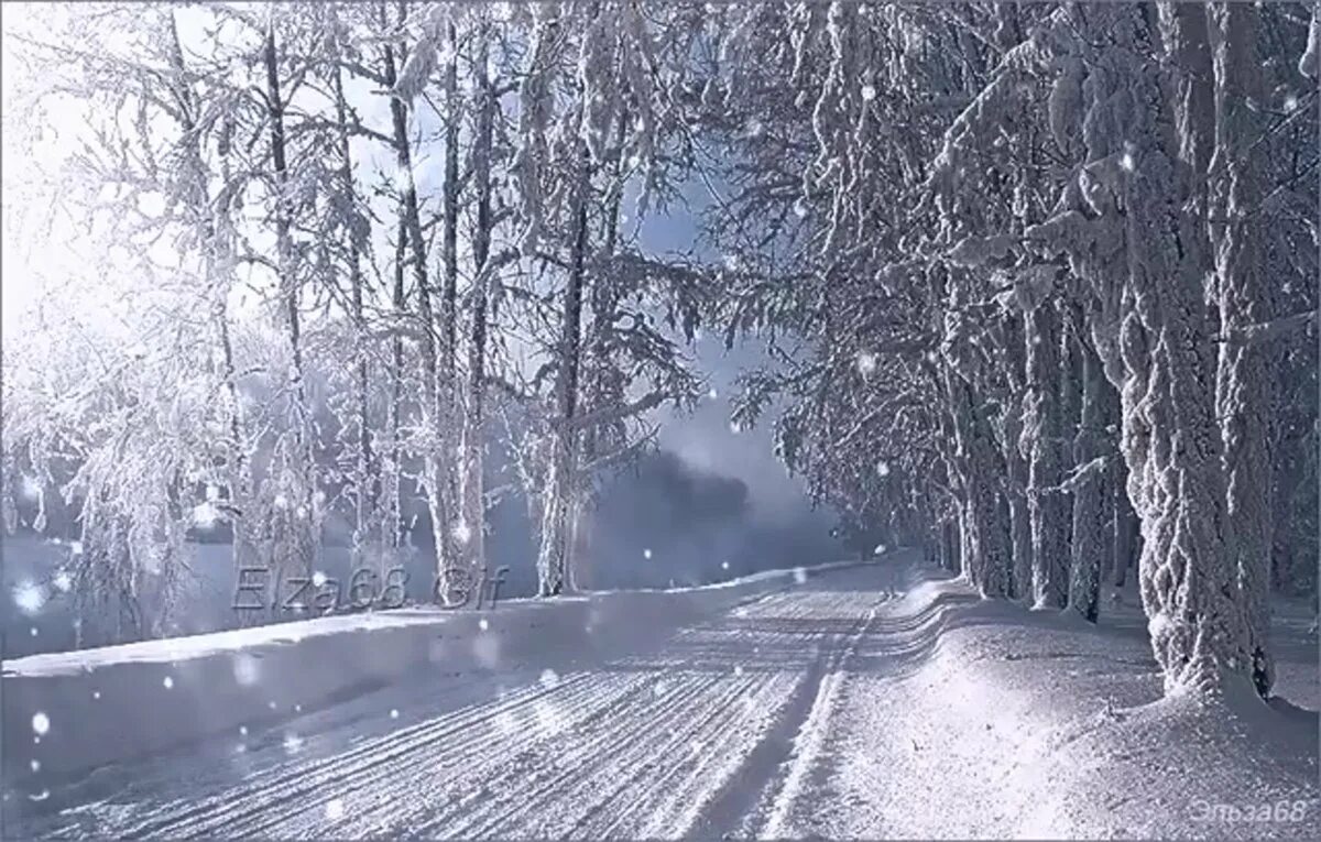 Минус белым снегом ночь
