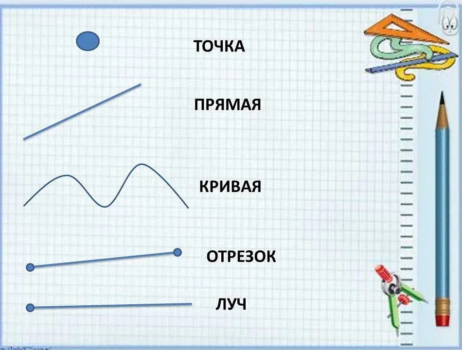 Точка кривая прямая отрезок Луч 1 класс. Точка прямая линия отрезок Луч. Точка кривая линия прямая линия отрезок Луч 1 класс. Точка кривая линия прямая линия отрезок Луч задания для 1 класса.