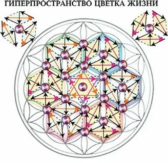 Цветы жизни 4 буквы