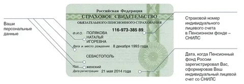 Как узнать снилс физического
