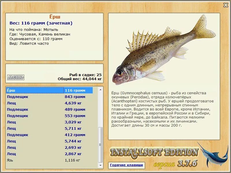 Darling montell fish. Montel fish перевод. Montell fish. Montell fish. Hotel montell fish обложка.
