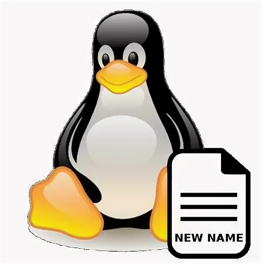 Linux переименовать пользователя. Переименовать файл в linux через терминал. переименовать файл linux. как переименовать файл в linux через терминал. pyrenamer.