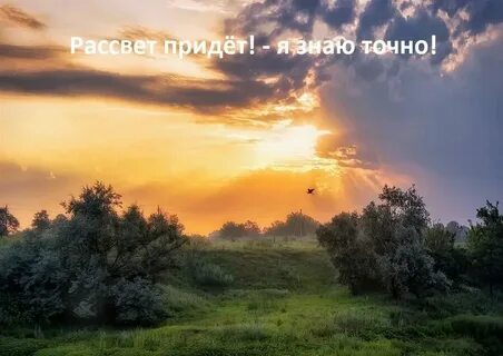 Тсн рассветное