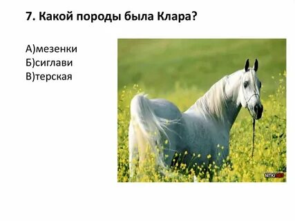 Тест по литературе о чем плачут лошади