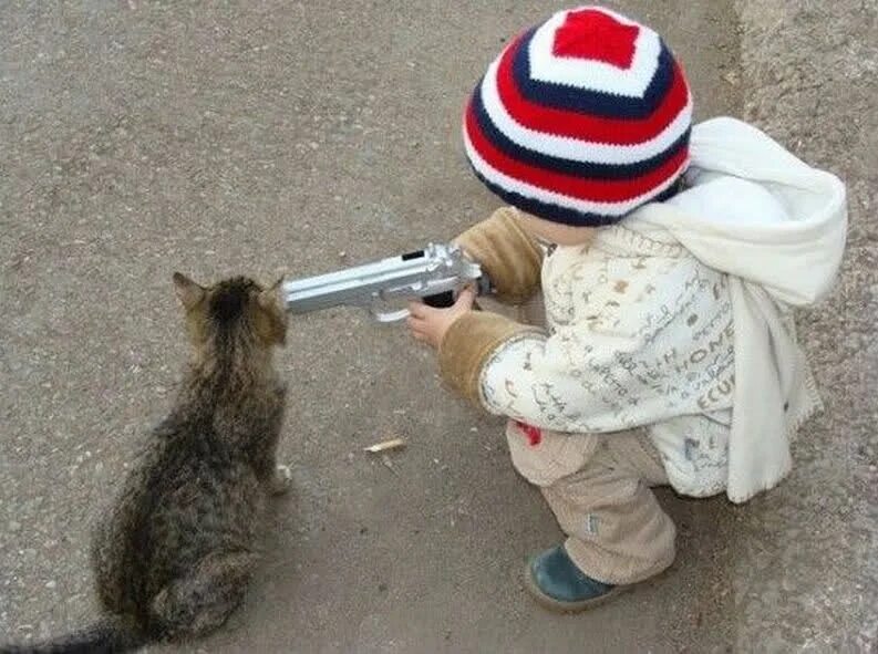 Картинки грозя. Смешные угрозы. Кот с пистолетом. Смешные угрожающие картинки. Кот с пистолетом угрожает Мем.