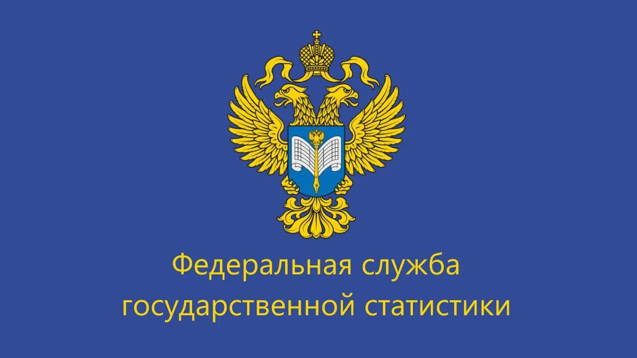 Ресурс государственной статистики. Федеральная служба государственной статистики. федеральная служба государственной статистики логотип. госкомстат россии. госкомстат логотип.