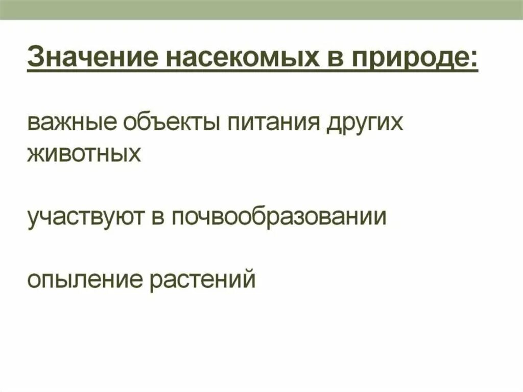 Отряды насекомых и типы их развития