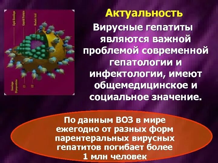 Тема вирусные гепатиты. Гепатиты профилактика вирусных гепатитов. вирусные гепатиты презентация. профилактика гепатита с. вирус гепатита в.