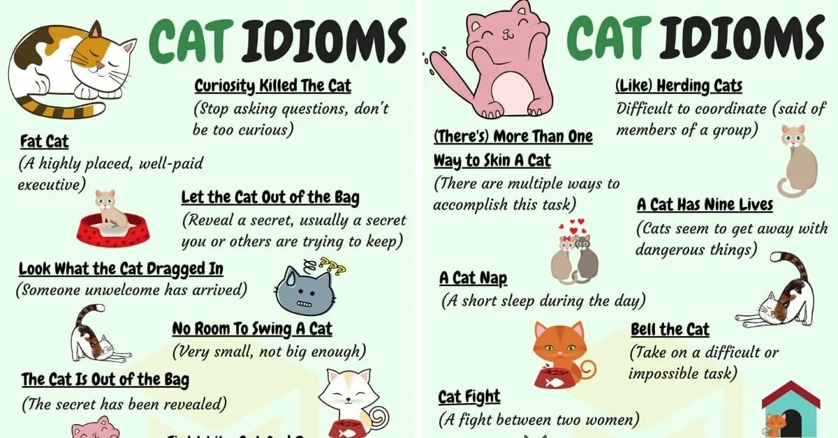 Предложения слов кошек. Идиомы на английском. Английский язык. Идиомы. Что такое идиом в английском языке. Идиомы на английском языке с переводом.