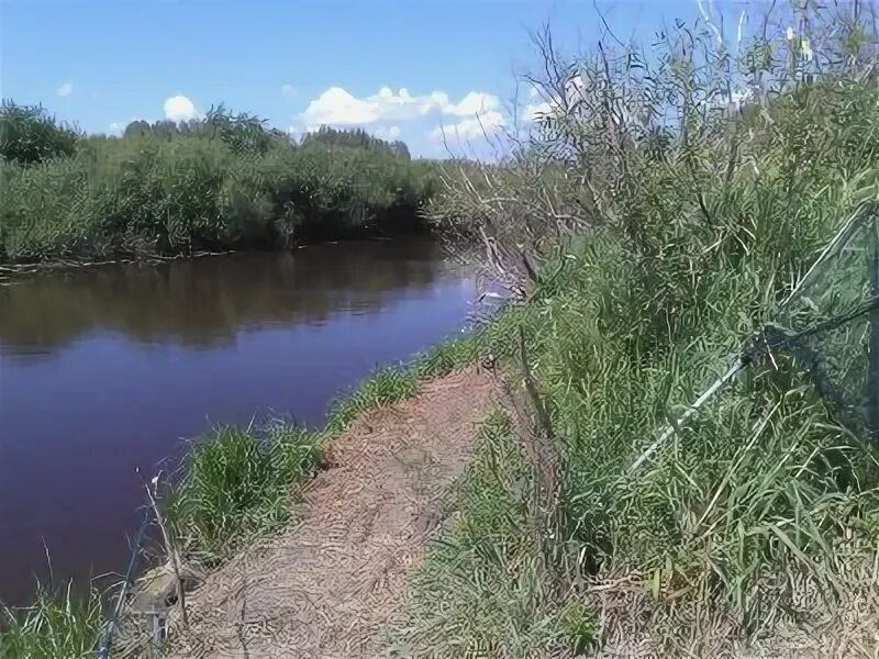 Прогноз погоды в чулыме. Река Чулым Здвинский район. Река Чулым Новосибирская область. Рыбалка на Чулыме Здвинского района. Рыбалка на реке Чулым Новосибирская область 2020.