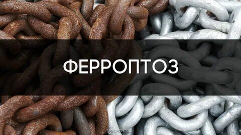 Ферроптоз