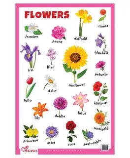 Как переводится flower