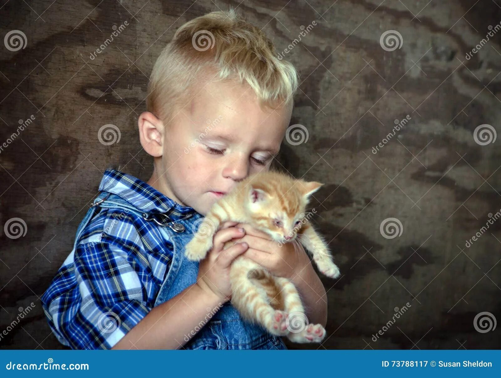 Малыш и его коты