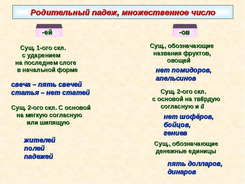 Форма им п мн ч. Родительный падеж множественного числа существительных правило. Родительный падеж множественного числа. Сущ в родительном падеже множественного числа. Существительное множественного числа родительного падежа.