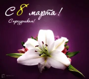 Любимой лиле