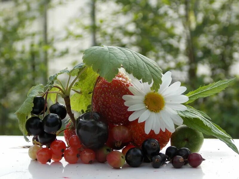 лето со вкусом ягод. класс вкус лета. вкус надпись. лого с летним напитком. вкус лета логотип.