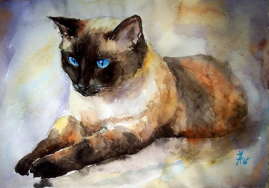 Как нарисовать кошку гуашью. Кошка акварелью. кошка гуашью. этюды животных акварелью. животные гуашью.