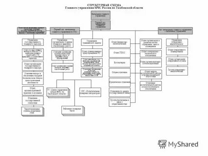 Перечислите основные органы управления