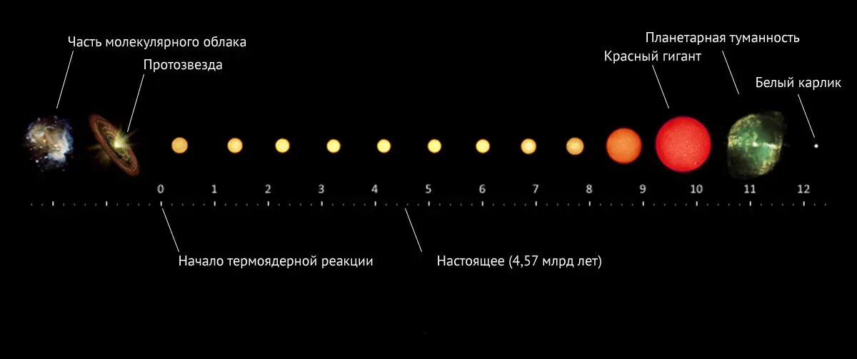 Что является световым годом. Жизненный цикл солнца. Жизненный цикл звезды схема. Жизненный цикл солнца схема. Жизненный цикл солнечной системы.