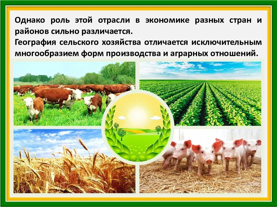 Роль сельскохозяйственного производства