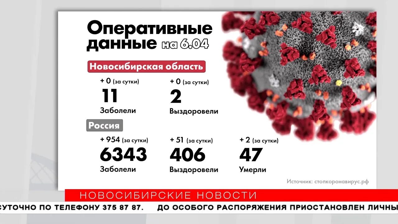 Инвитро пцр тест на коронавирус. Коронавирус в новосибирске на сегодня. Главный инфекционист новосибирской области. Коронавирус в новосибирске на сегодня. Сколько коек в больнице.