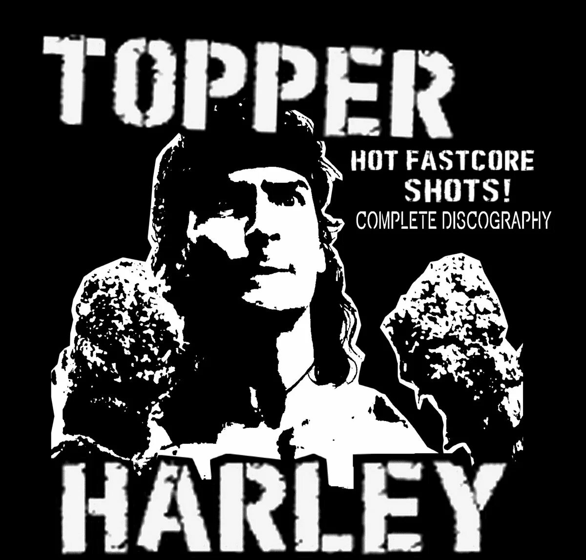 Topper Harley. Топпер Харли. Топпер Харли горячие головы. Complete discography. Fastcore