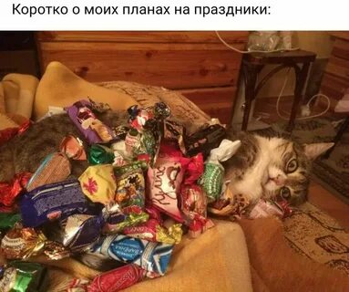 День рождение после нового года