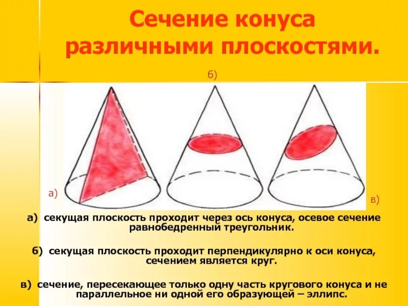 Сечение параллельное основанию является. Сечение перпендикулярное оси конуса. Геометрическая форма сечения конуса. Сечение конуса перпендикулярно оси. Сечения конуса различными плоскостями.