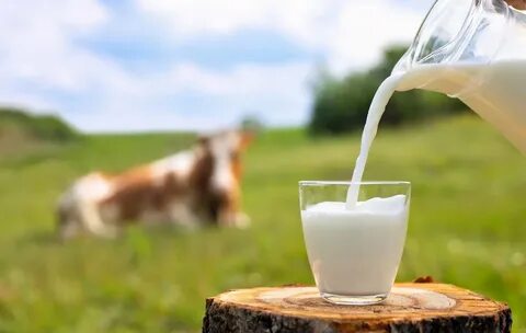 Well milk