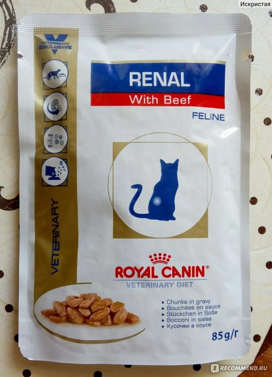 Royal canin renal для кошек купить. Роял Канин Ренал паучи. Royal Canin renal для кошек. Паучи корм для кошек Ренал Роял Канин. Royal Canin early renal паучи.