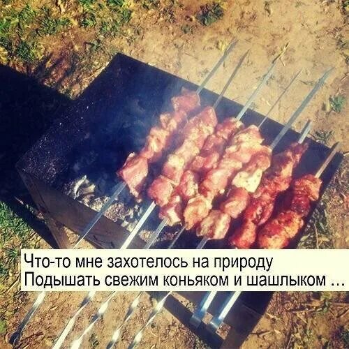 Я подарю ей шашлычек коньячек