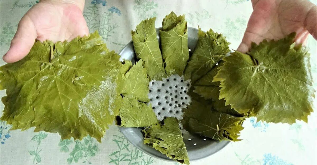Как хранить долму