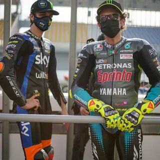 Mouse @Mouse_46 - Twitter Profile Instalker