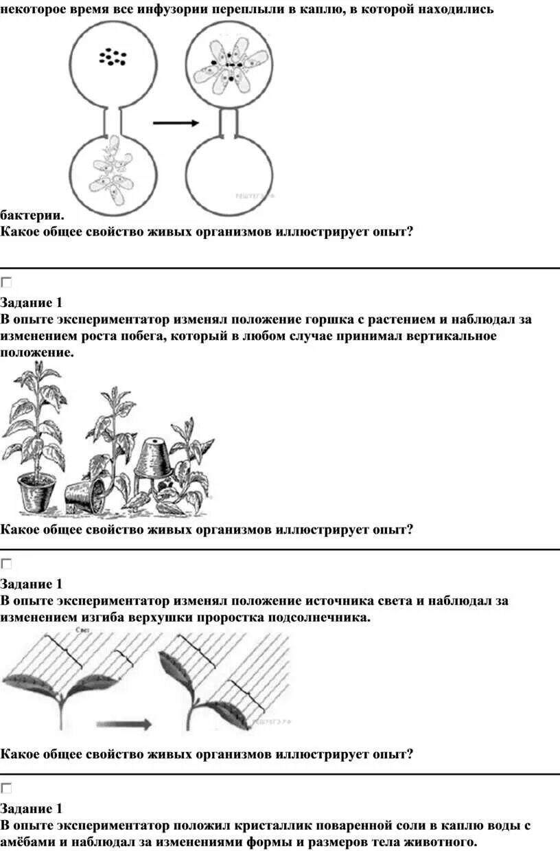 Общее определение проекта