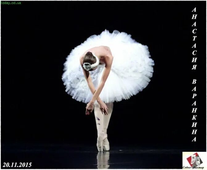 балет юлия махалина. чайковский умирающий лебедь. майя плисецкая лебединое озеро. анна павлова балерина. чайковский умирающий лебедь.