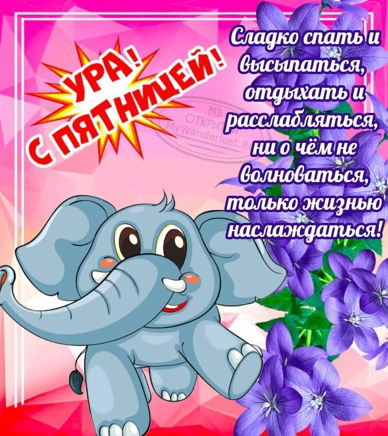 Открытки с пятницей прикольные. Веселые открытки с пятницей. Поздравление с пятницей прикольные. Веселые поздравления с пятницей. Открытки с пятницей.