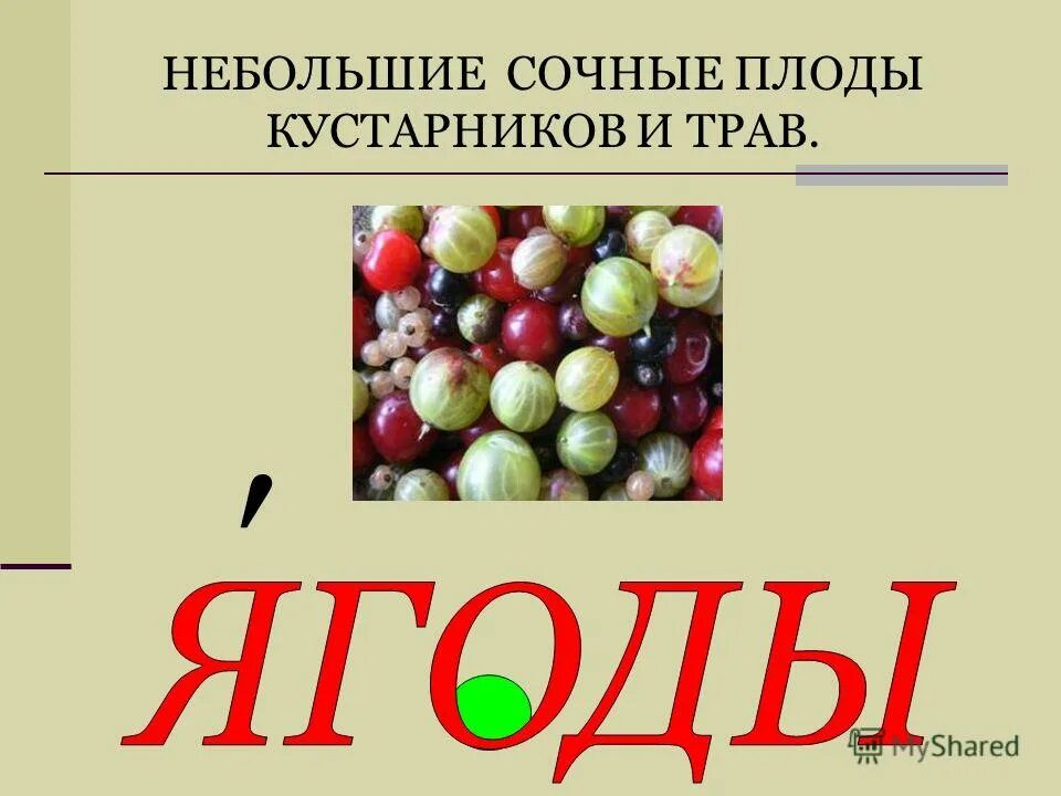 Словарь второклассника.