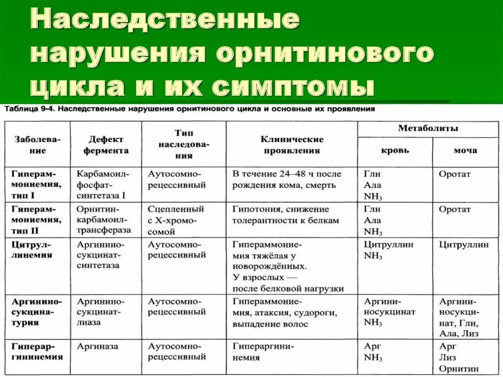 Ферменты патологии. Патологии орнитинового цикла. Нарушение арнитийного цикла. Патология при орнитинового цикла. Наследственные нарушения орнитинового цикла и основные их.